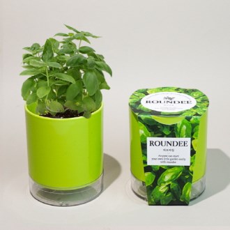 ���� ȭ�� ����-������