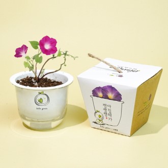 �׸��йи� �Ĺ�ŰƮ-���Ȳ�