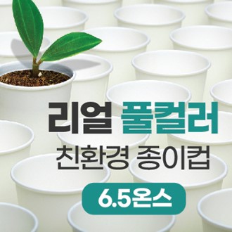 ����Ǯ�÷� ģȯ�� ������ 6.5�½�
