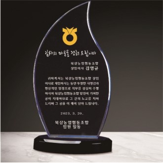 ũ����Ż ���� 255